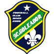 サッカー　フットサル　エンブレム　デザイン