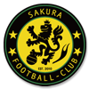 サッカーフットサル用エンブレムワッペンのデザイン
