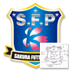 サッカーフットサル用エンブレムワッペンのデザイン