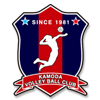 サッカーフットサル用エンブレムワッペンのデザイン