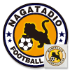 サッカーフットサル用エンブレムワッペンのデザイン