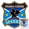 サッカーフットサル用エンブレムワッペンのデザイン